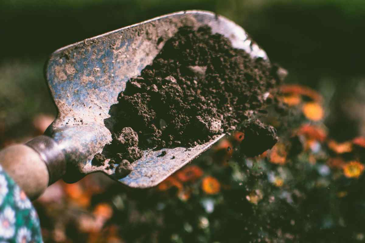Terreno da giardino in una paletta